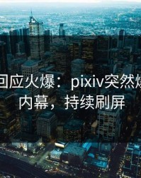 圈内人回应火爆：pixiv突然爆出丑闻内幕，持续刷屏