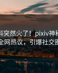 今晨猛料突然火了！pixiv神秘人居然全网热议，引爆社交圈