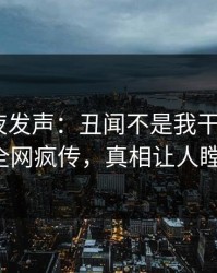 明星深夜发声：丑闻不是我干的！pixiv全网疯传，真相让人瞠目