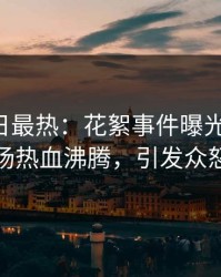 Pixiv今日最热：花絮事件曝光，大V现场热血沸腾，引发众怒