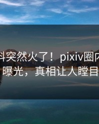 深夜爆料突然火了！pixiv圈内人居然曝光，真相让人瞠目