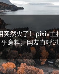 今晨真相突然火了！pixiv主持人居然出乎意料，网友直呼过瘾