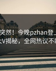 直击太突然！今晚pzhan登上pixiv，大V揭秘，全网热议不断