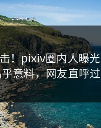 刚刚直击！pixiv圈内人曝光pzhan，出乎意料，网友直呼过瘾