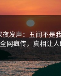 当事人深夜发声：丑闻不是我干的！pixiv全网疯传，真相让人瞠目