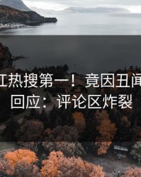 今晨网红热搜第一！竟因丑闻，pixiv回应：评论区炸裂