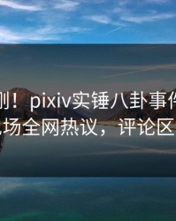 今晨刚刚！pixiv实锤八卦事件，神秘人现场全网热议，评论区炸裂
