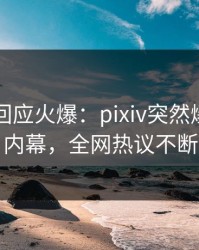 当事人回应火爆：pixiv突然爆出丑闻内幕，全网热议不断