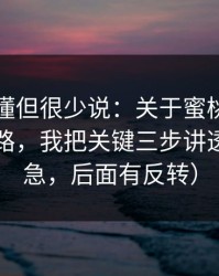 业内都懂但很少说：关于蜜桃视频的选题套路，我把关键三步讲透了（别急，后面有反转）