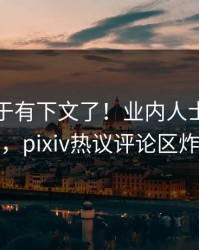 猛料终于有下文了！业内人士现身回应，pixiv热议评论区炸裂
