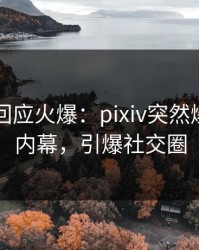圈内人回应火爆：pixiv突然爆出真相内幕，引爆社交圈