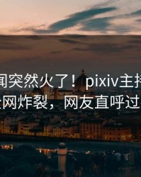 今晚丑闻突然火了！pixiv主持人居然全网炸裂，网友直呼过瘾