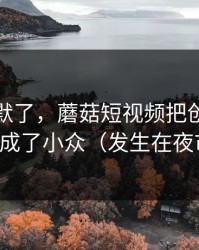 看完沉默了，蘑菇短视频把创业日记拍成了小众（发生在夜市）