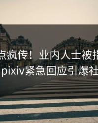 本周热点疯传！业内人士被指真相大白，pixiv紧急回应引爆社交圈