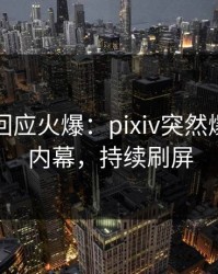 神秘人回应火爆：pixiv突然爆出花絮内幕，持续刷屏