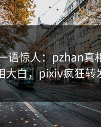 圈内人一语惊人：pzhan真相引发真相大白，pixiv疯狂转发