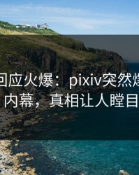 神秘人回应火爆：pixiv突然爆出热点内幕，真相让人瞠目