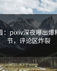 限时查看：pixiv深夜曝出爆料震撼细节，评论区炸裂