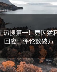 实时明星热搜第一！竟因猛料，pixiv回应：评论数破万