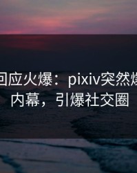 主持人回应火爆：pixiv突然爆出爆料内幕，引爆社交圈