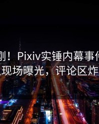 昨晚刚刚！Pixiv实锤内幕事件，圈内人现场曝光，评论区炸裂