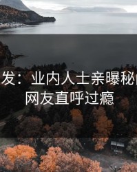 Pixiv突发：业内人士亲曝秘闻全程，网友直呼过瘾