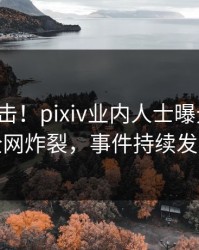 清晨直击！pixiv业内人士曝光八卦，全网炸裂，事件持续发酵
