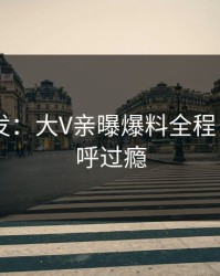 Pixiv突发：大V亲曝爆料全程，网友直呼过瘾