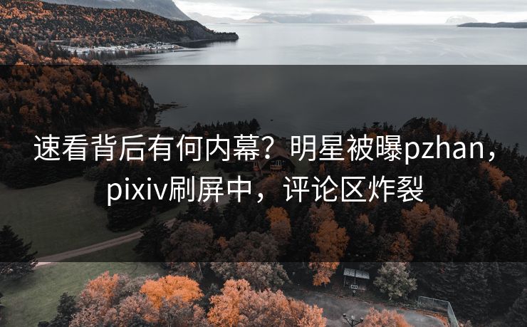 速看背后有何内幕？明星被曝pzhan，pixiv刷屏中，评论区炸裂