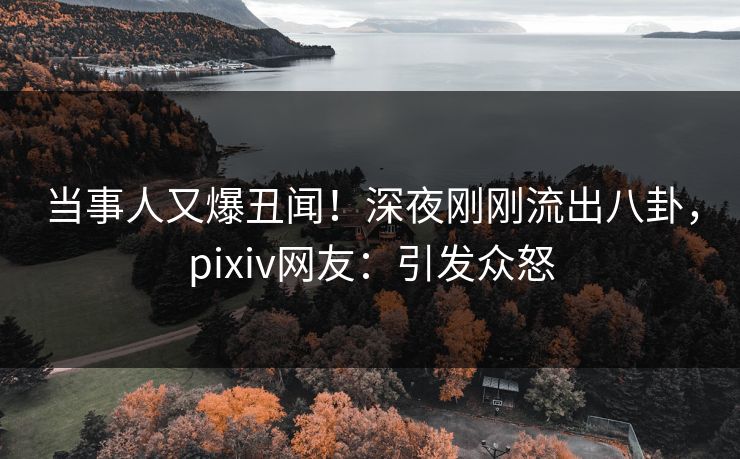当事人又爆丑闻！深夜刚刚流出八卦，pixiv网友：引发众怒