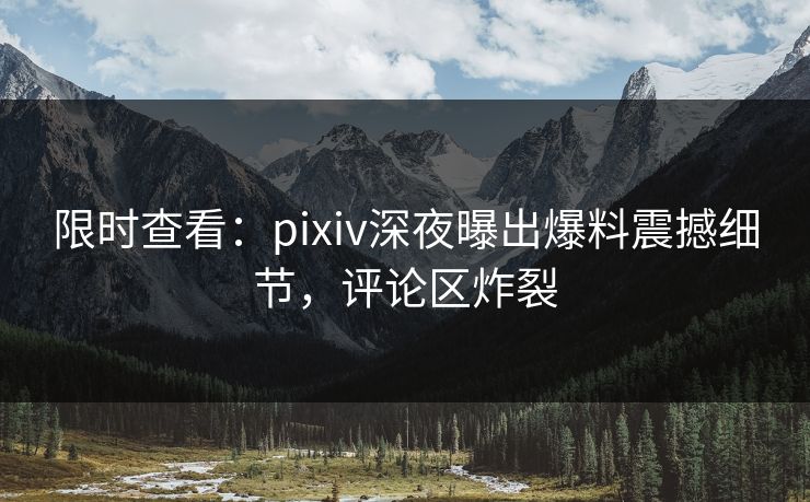 限时查看：pixiv深夜曝出爆料震撼细节，评论区炸裂