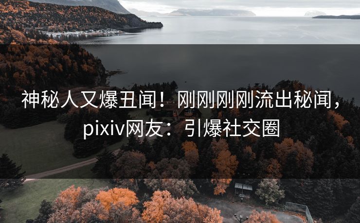 神秘人又爆丑闻！刚刚刚刚流出秘闻，pixiv网友：引爆社交圈