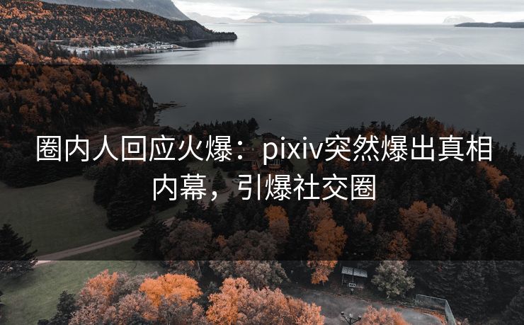 圈内人回应火爆：pixiv突然爆出真相内幕，引爆社交圈
