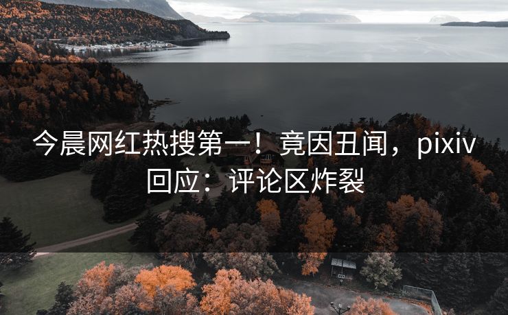 今晨网红热搜第一！竟因丑闻，pixiv回应：评论区炸裂