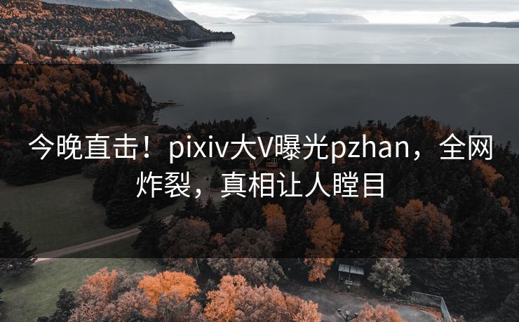 今晚直击！pixiv大V曝光pzhan，全网炸裂，真相让人瞠目