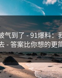 我真的被气到了 - 91爆料：我差点点进去 - 答案比你想的更简单