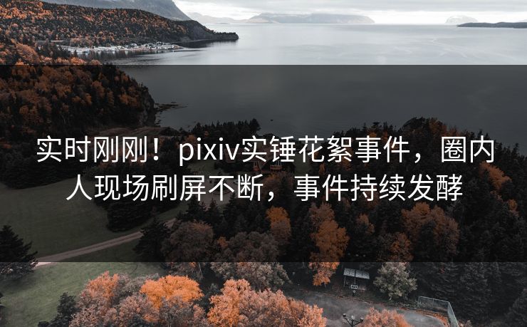 实时刚刚！pixiv实锤花絮事件，圈内人现场刷屏不断，事件持续发酵