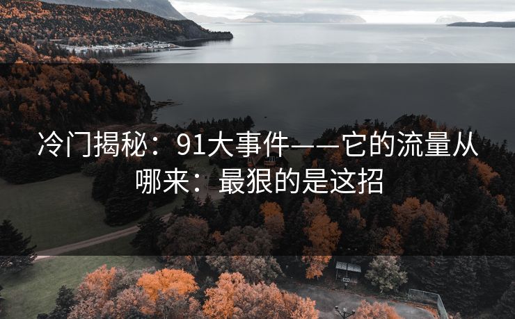 冷门揭秘:91大事件——它的流量从哪来:最狠的是这招 冷门揭秘:91大事件——它的流量从哪来:最狠的是这招